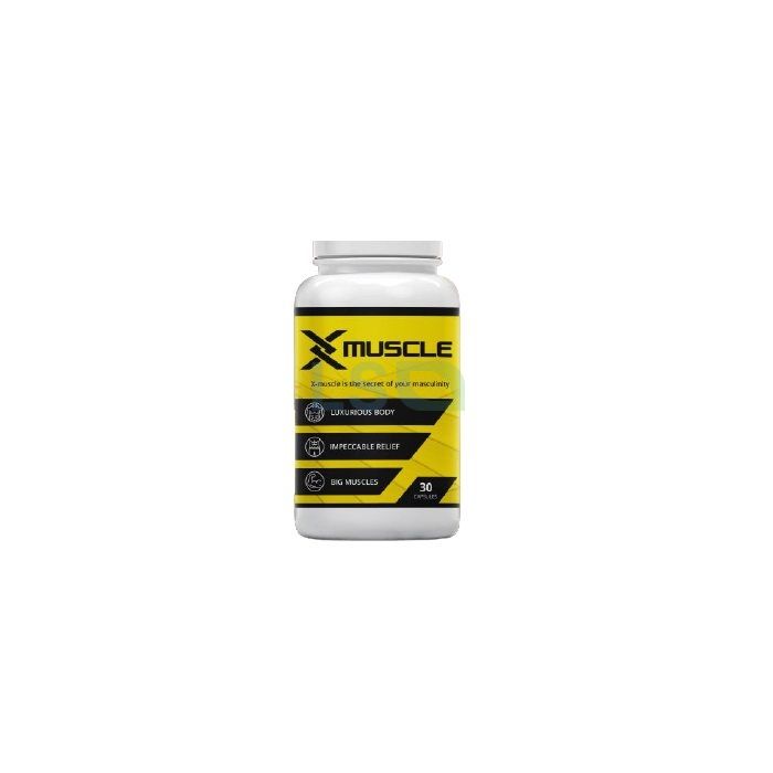 X-Muscle para a construción muscular