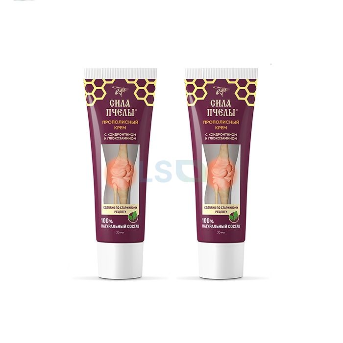 Bee Power Cream համատեղ առողջության միջոց