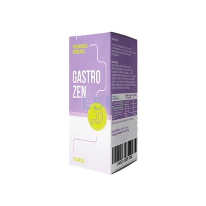 Gastro ZEN remedy for the health of the stomach and digestive system