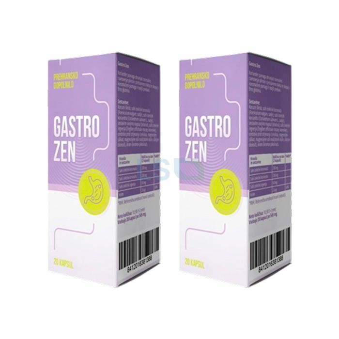 Gastro ZEN remedy for the health of the stomach and digestive system